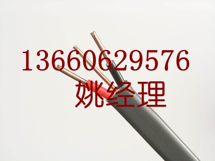 廣東珠江冠纜電線(xiàn)電纜
